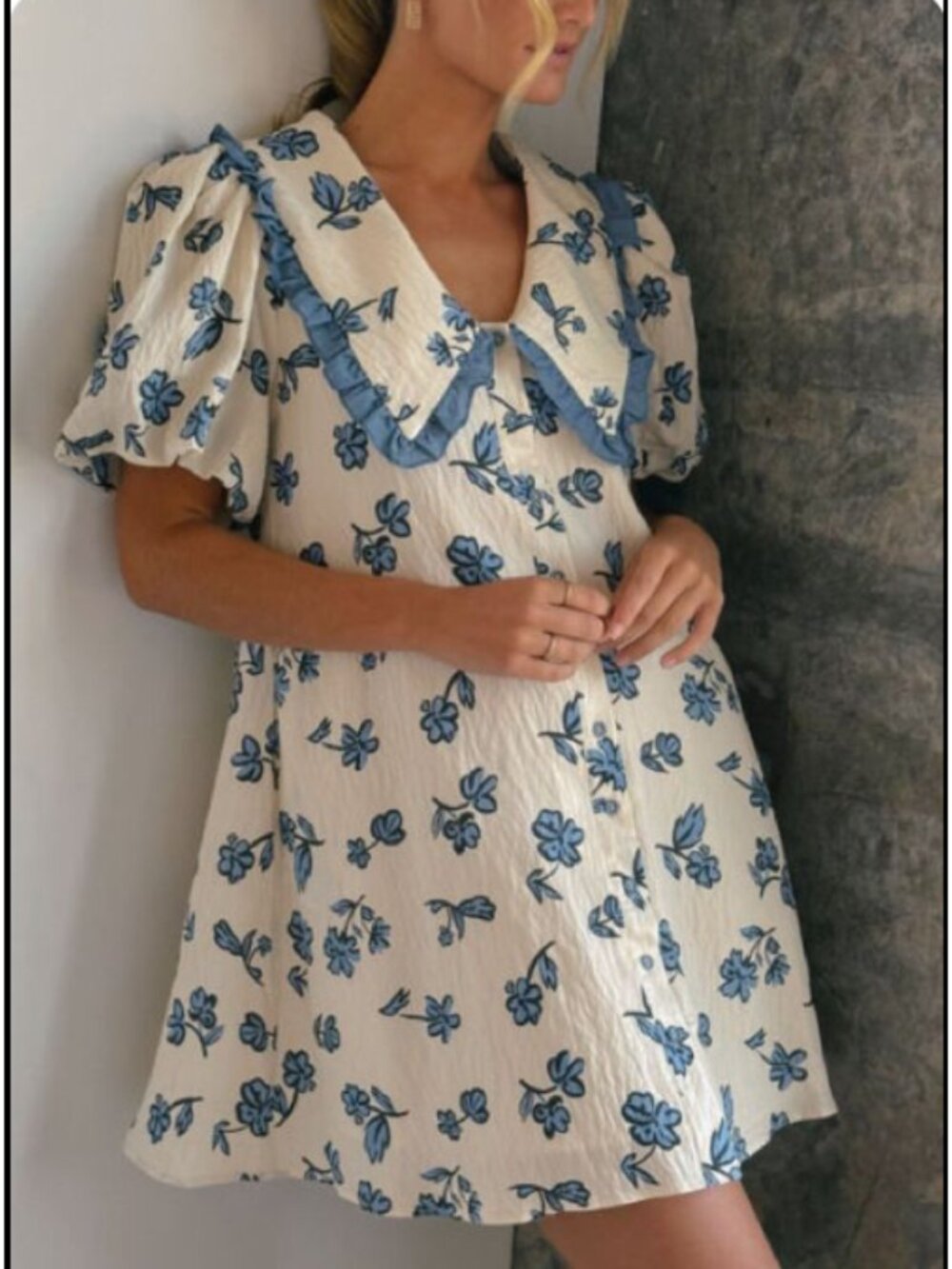 Poppy Collared Mini Dress Blue floral Print Size Small Ruffled Peter Pan Collar - Picture 7 of 14